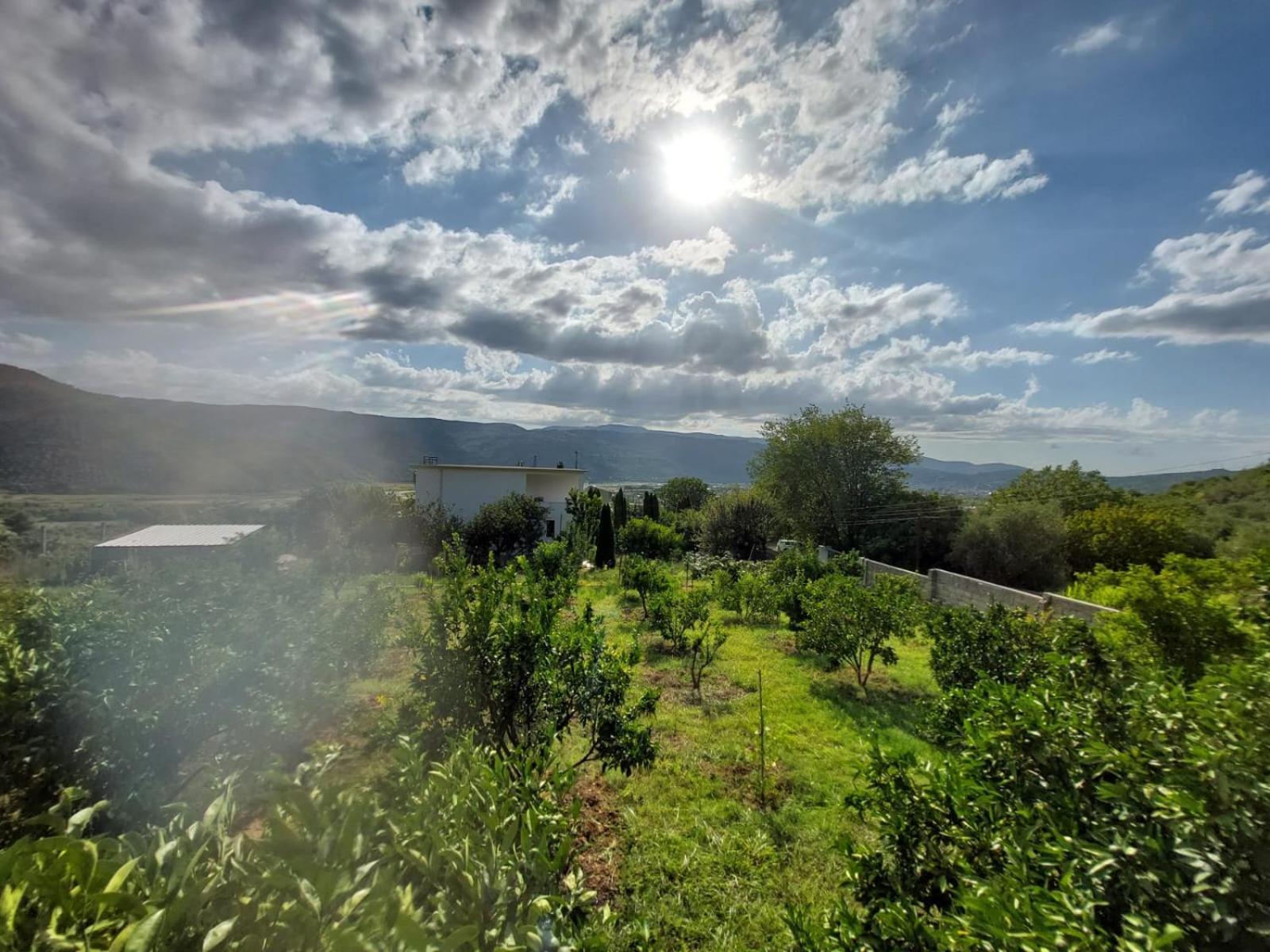 Guest House Xhaferaj Berat Zewnętrze zdjęcie