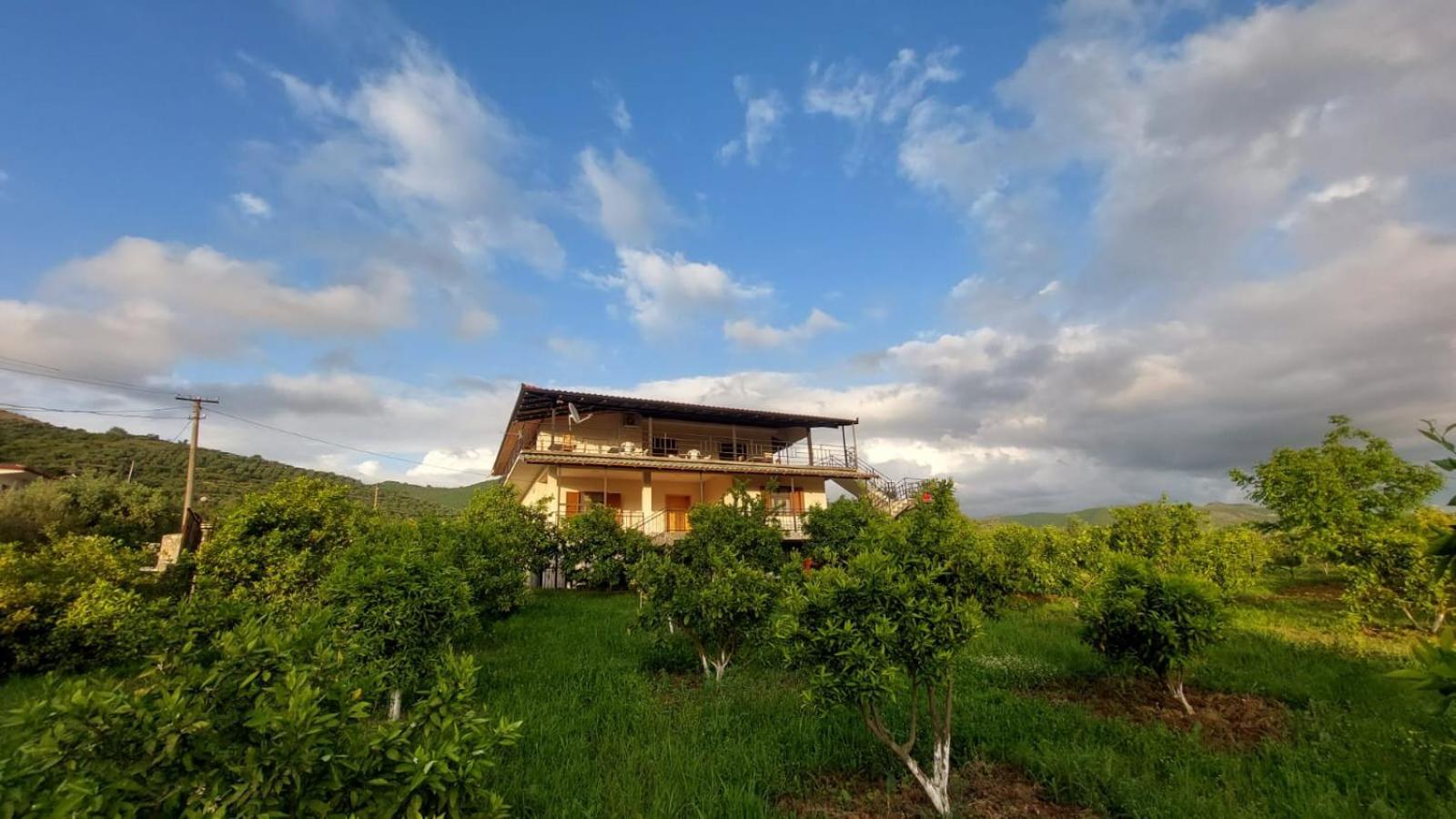 Guest House Xhaferaj Berat Zewnętrze zdjęcie